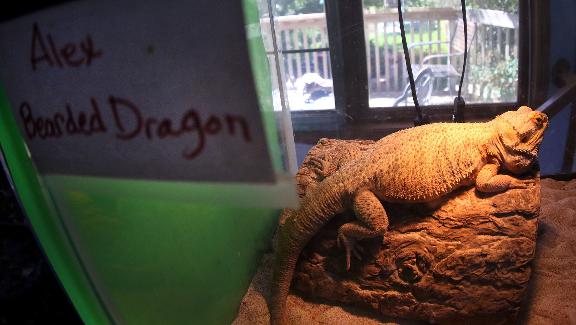 060518-qct-animal-sanctuary-017